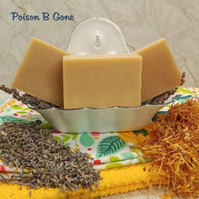 Load image into Gallery viewer, Poison Ivy/Oak Jewelweed Handmade Bar Soap, fragrance free

